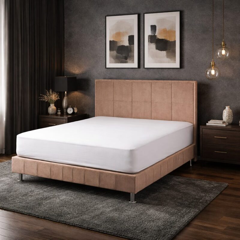 Montezuma_ent_no_parna