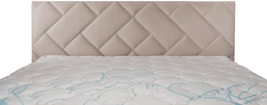 toronto_fejveg-matraccal_small