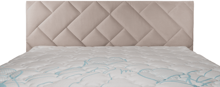 toronto_fejveg-matraccal_small