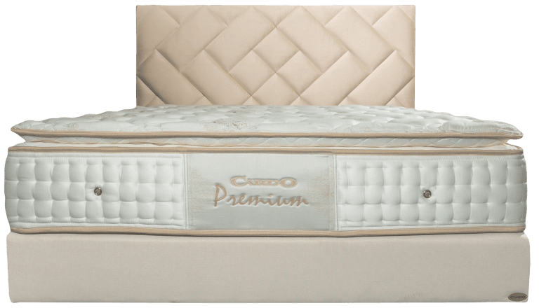 toronto_fejveg_es_matrac