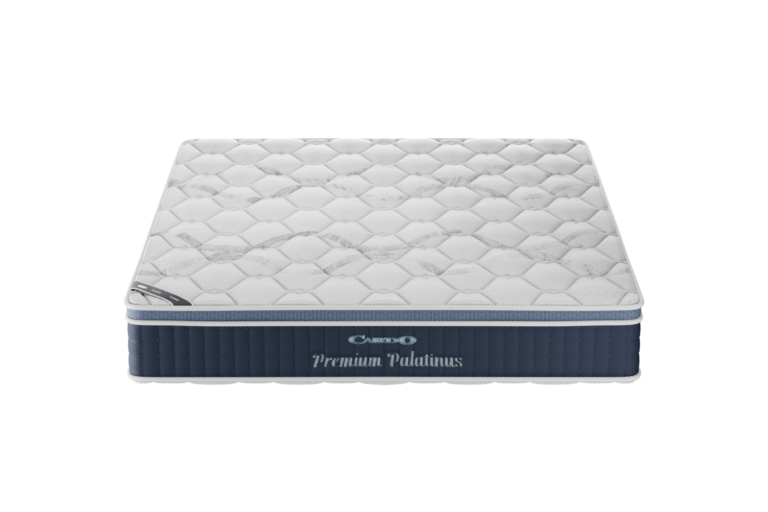 Premium Palatinus front