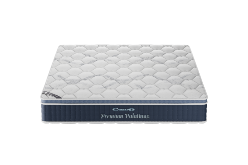 Premium Palatinus front