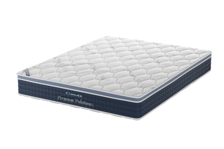 Premium Palatinus persp