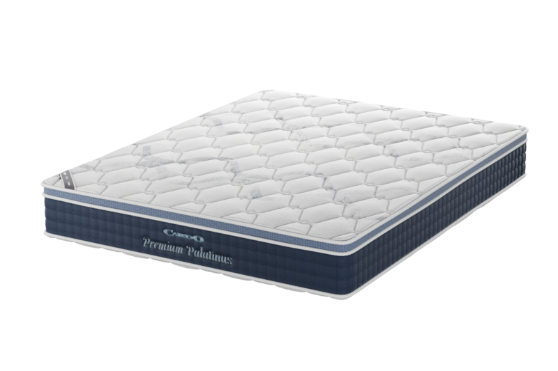 Premium Palatinus persp